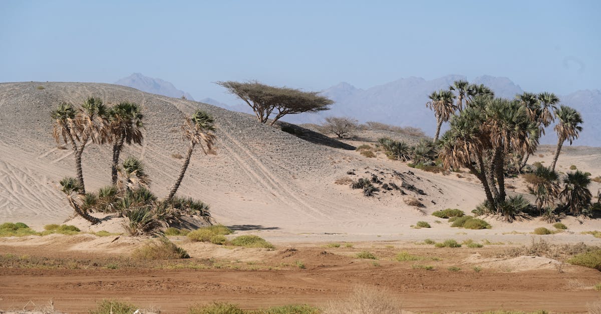 third_section_image_data.image_alt
