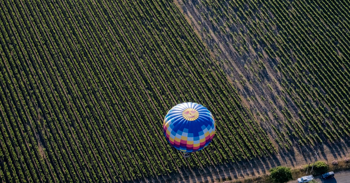 A colorful hot air balloon glides above a Napa Valley vineyard.