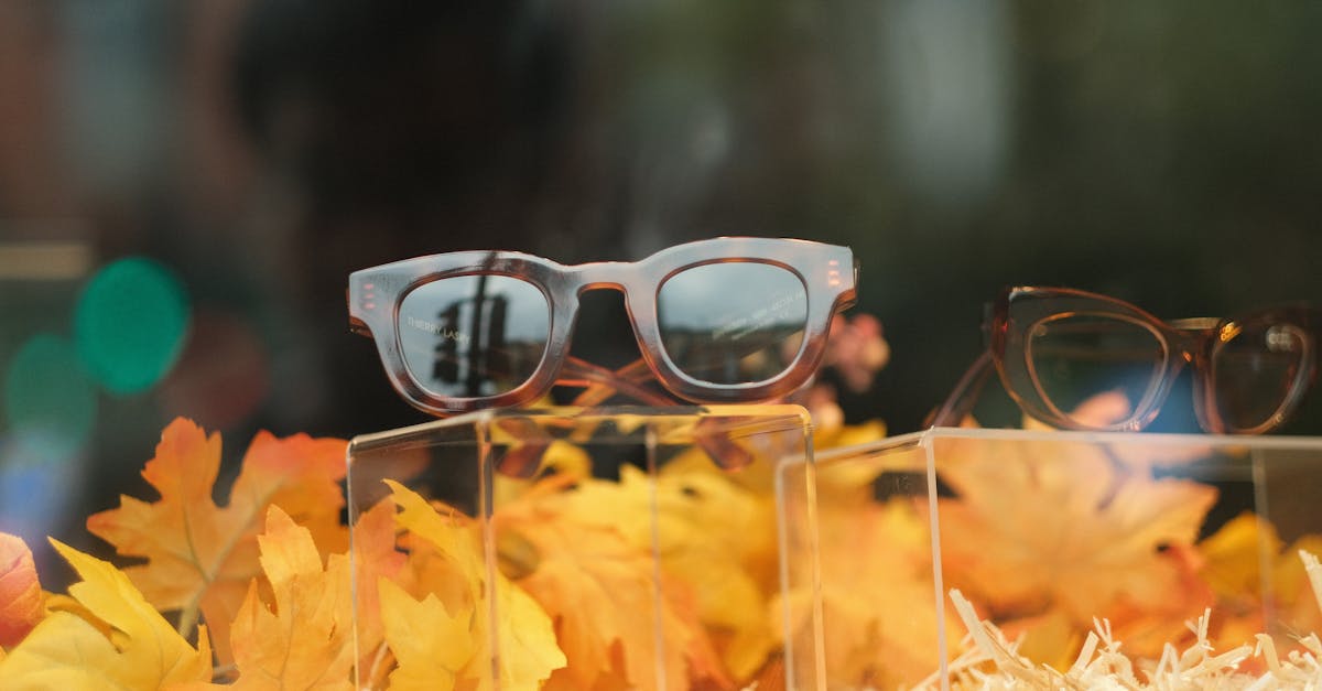 Elegant eyewear displayed amidst autumn leaves capturing fall fashion essence.