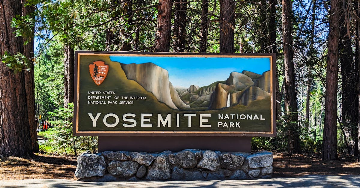 Yosemite National Park entrance sign set against a backdrop of towering trees.