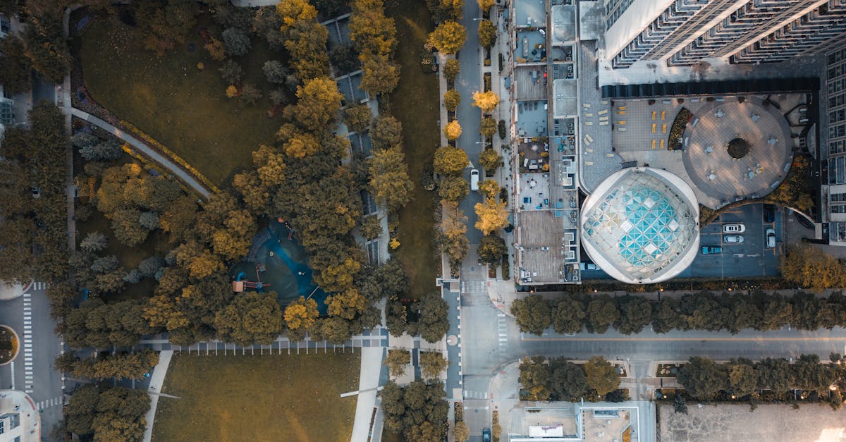 Aerial view of city park surrounded by tall modern buildings, showcasing urban landscape.