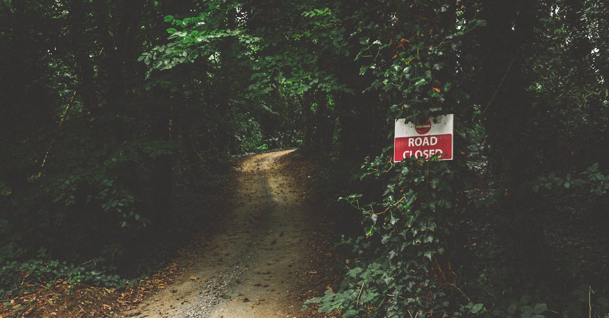 A serene forest path surrounded by lush greenery with a road closed sign.