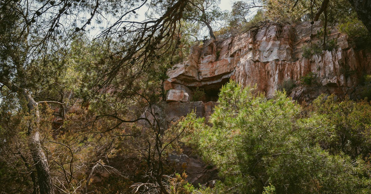 Explore the hidden cave amidst Le Pradet's lush greenery and rugged mountainside.