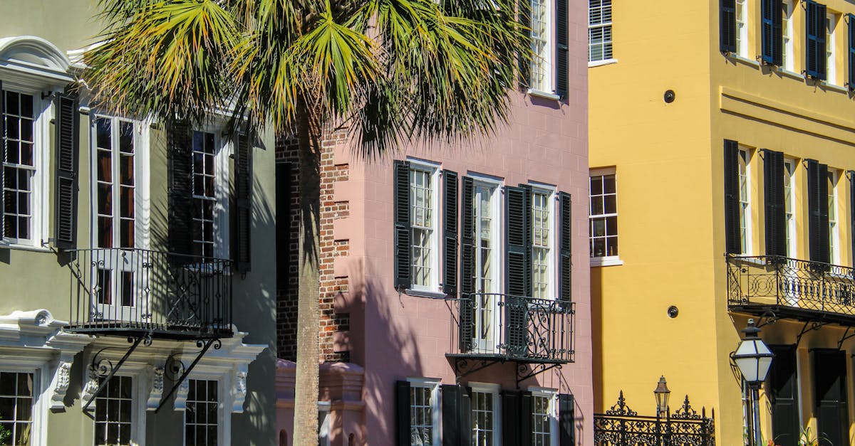 Vibrant historic buildings with palm tree in Charleston, capturing architectural charm.