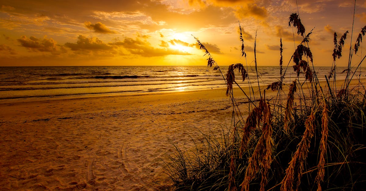 Stunning sunset over a tranquil beach with golden hues and gentle waves.