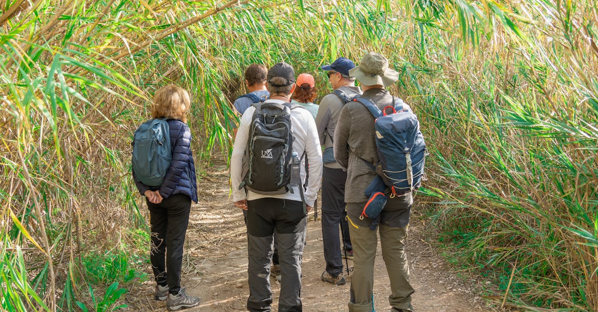 A group of diverse adults hiking along a narrow, lush forest path on a sunny day.