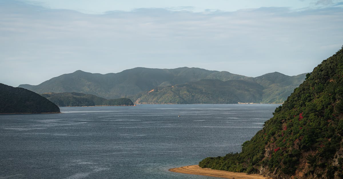third_section_image_data.image_alt