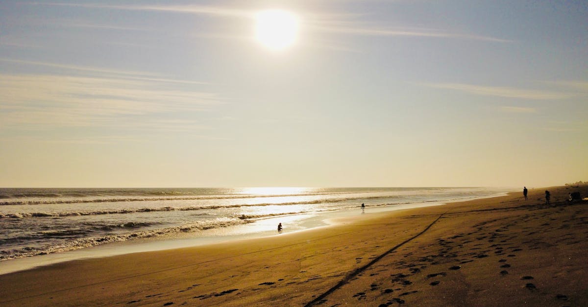 Peaceful beach scene at sunset with golden light reflecting on the ocean and black sand beach.