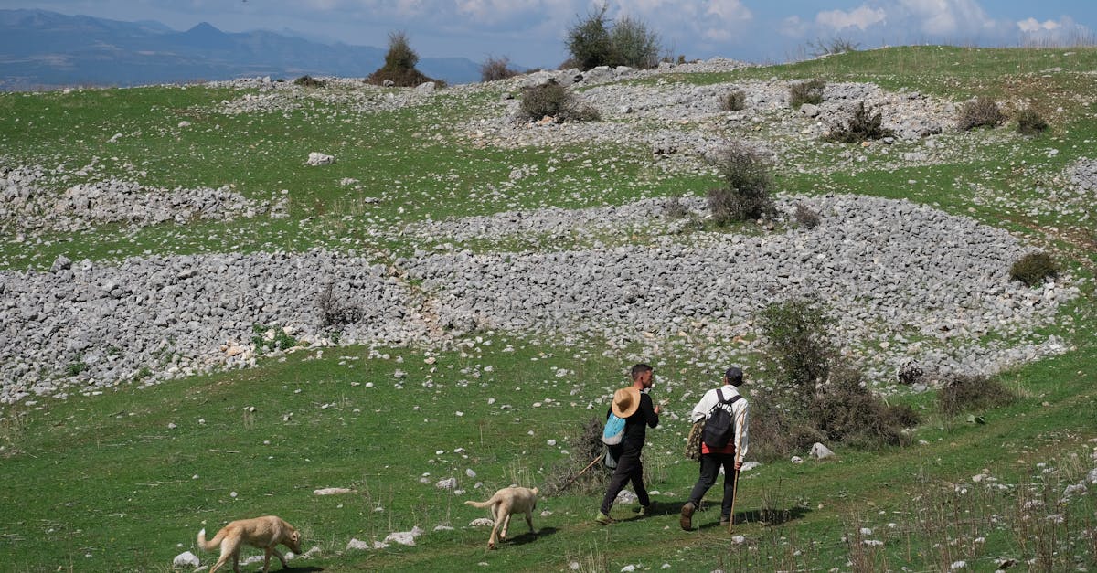 Two hikers with dogs traverse a rocky green terrain under a clear blue sky.