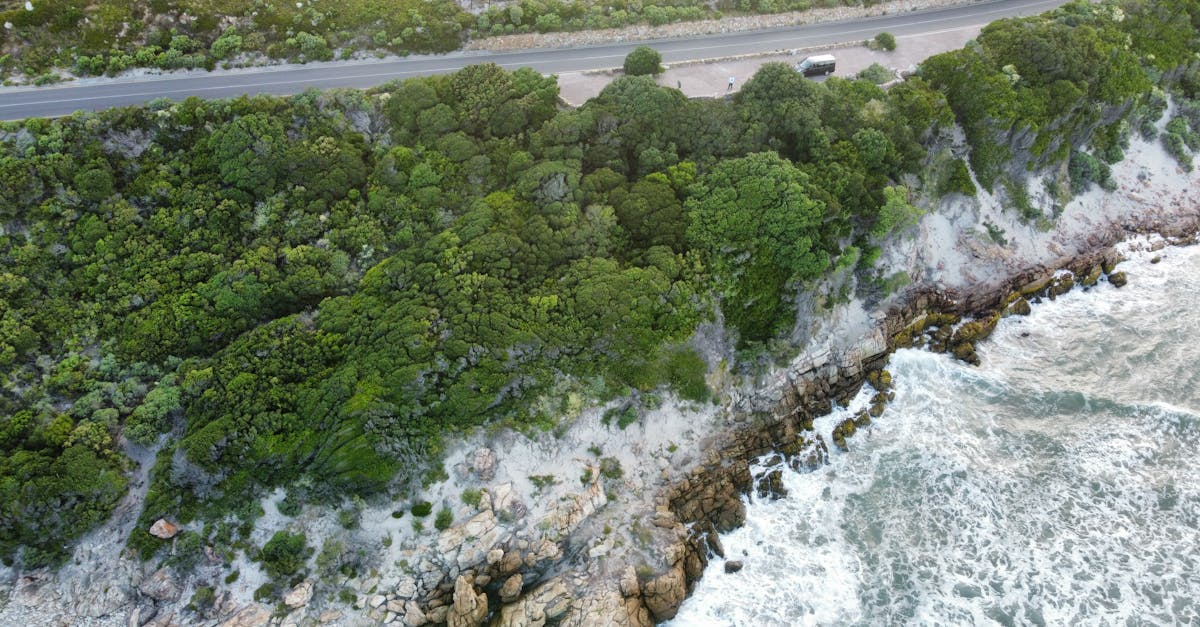 A spectacular aerial view of a rocky coastline meeting lush greenery.