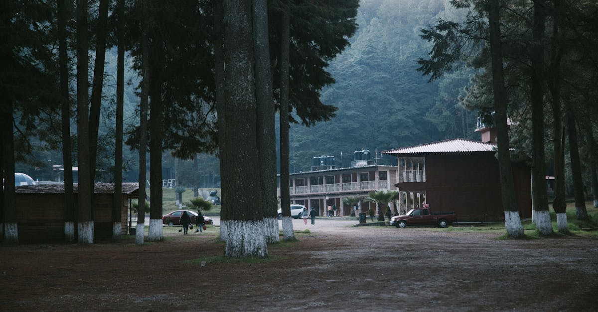 Explore a serene forest lodge in Los Azufres, perfect for a tranquil getaway.