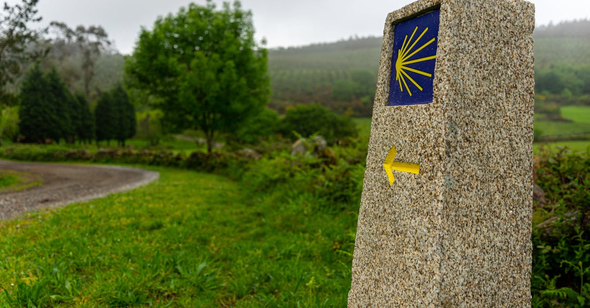 A tranquil scene of a waymark on the Camino de Santiago walking route.
