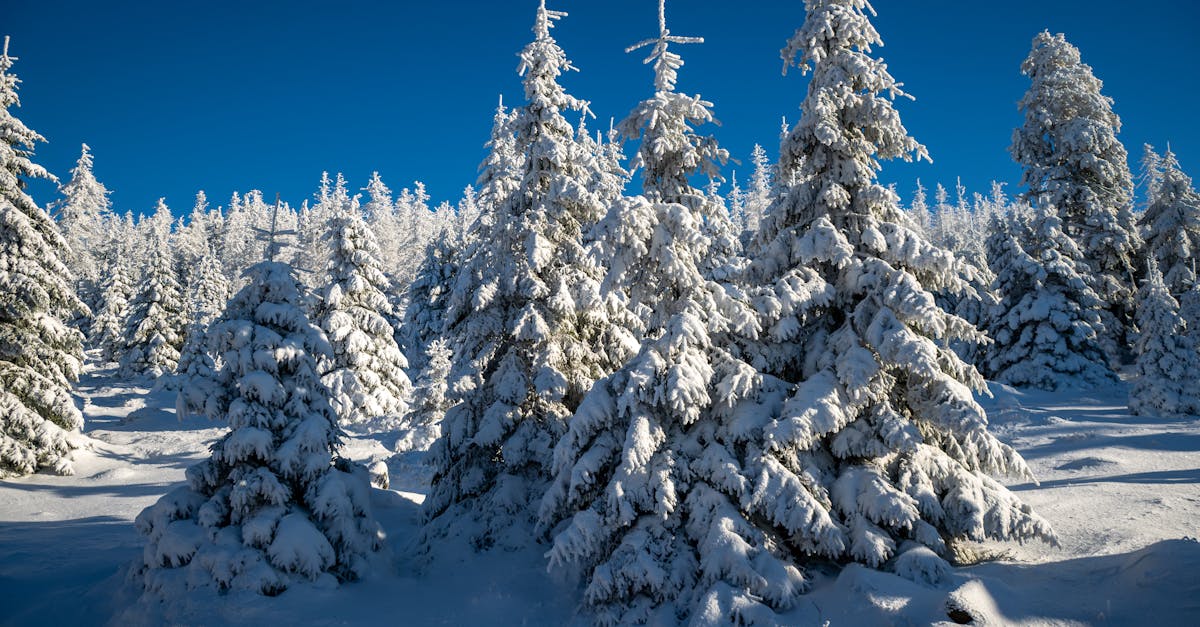 third_section_image_data.image_alt