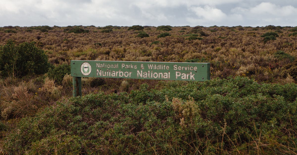 Sign at Nullarbor National Park showcasing its expansive wilderness in South Australia.