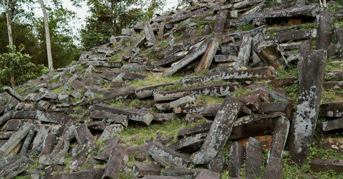 Ancient stone ruins overgrown with moss, surrounded by lush green forest, creating a serene but mysterious atmosphere.