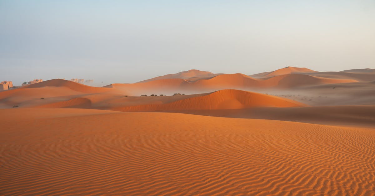 third_section_image_data.image_alt