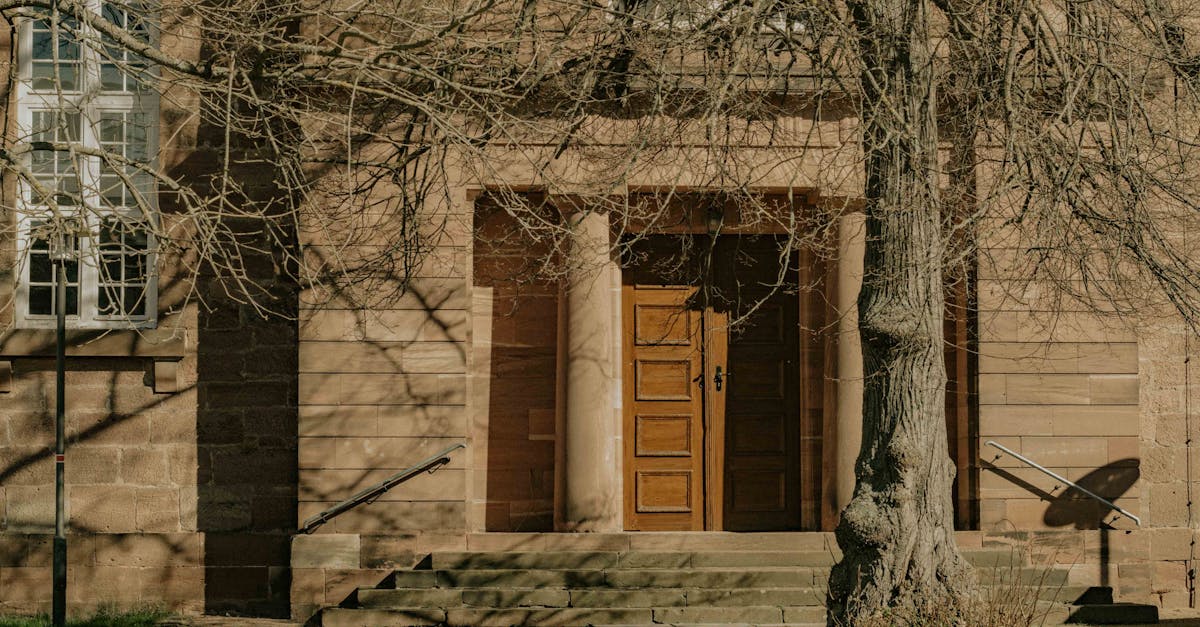 Sunlit stone building entrance with wooden door and steps in a serene natural setting.