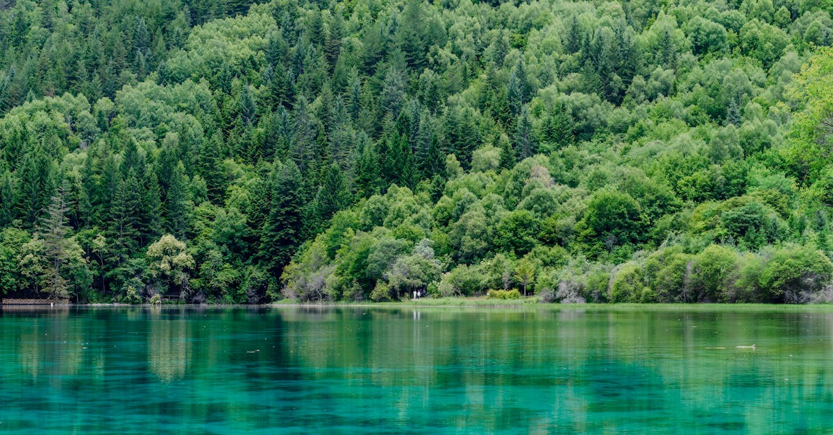 third_section_image_data.image_alt