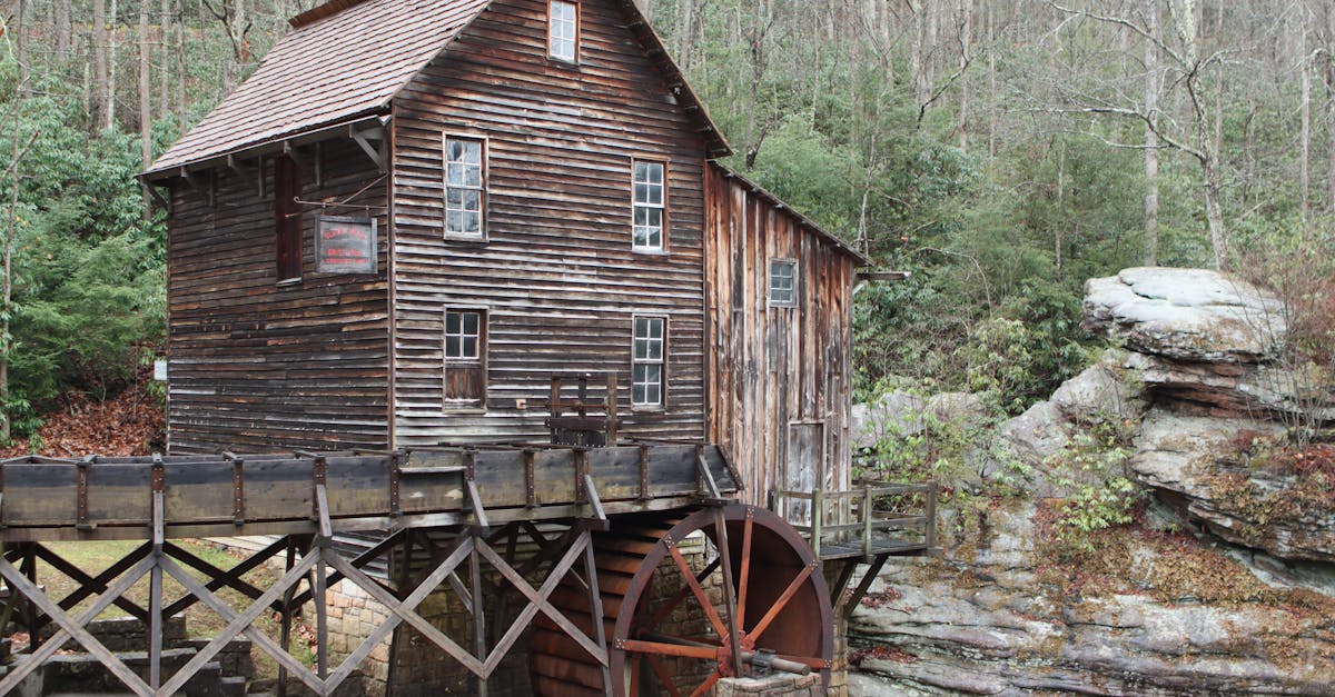 Rustic wooden mill against a forest backdrop, showcasing natural architecture and history.
