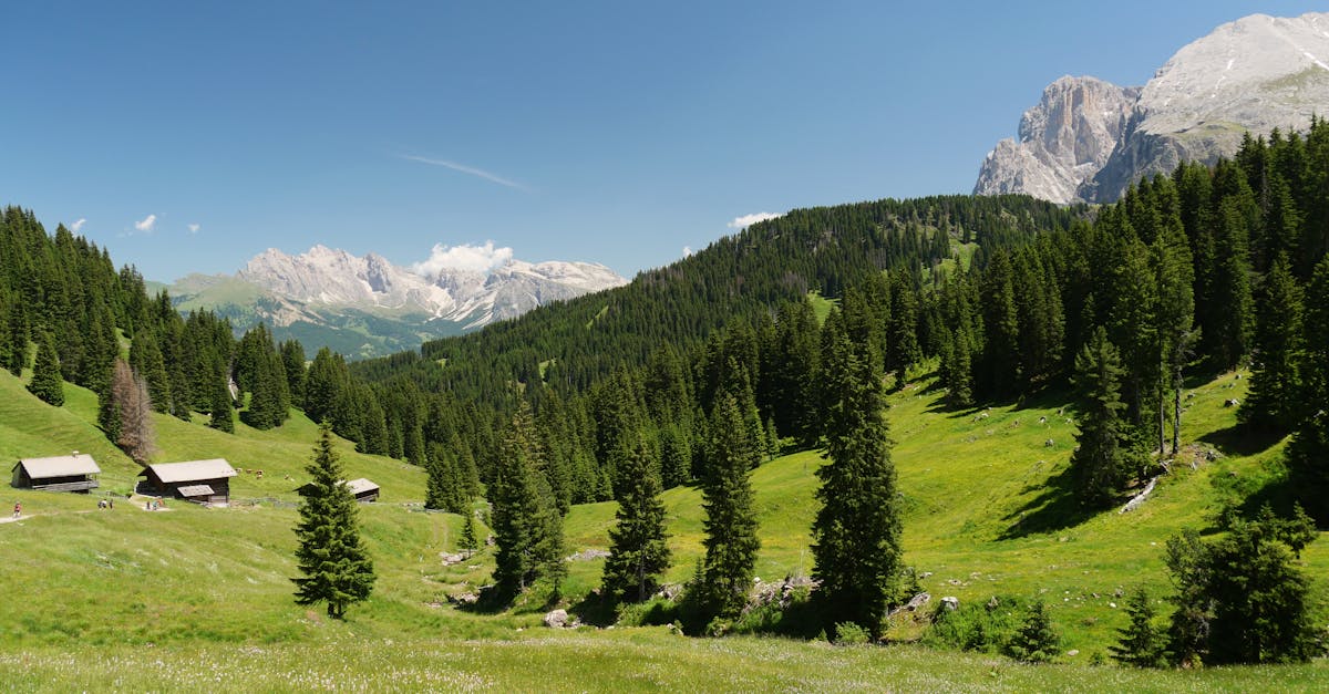 third_section_image_data.image_alt