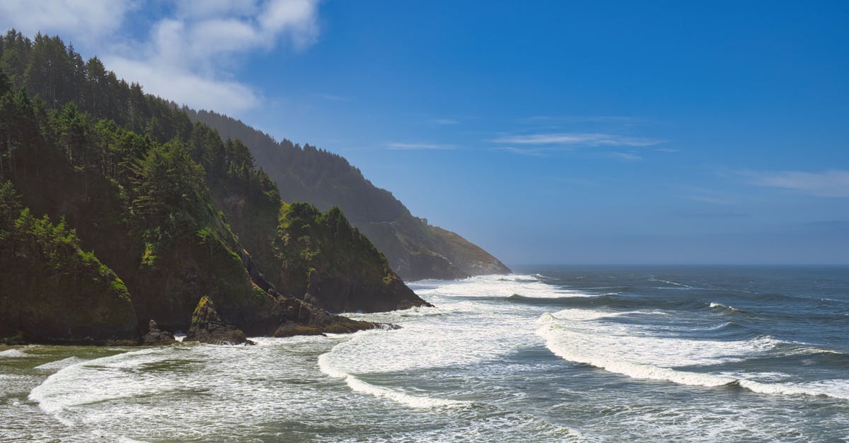 Breathtaking view of Oregon's rugged coastline and the Pacific Ocean with lush greenery and rolling waves.