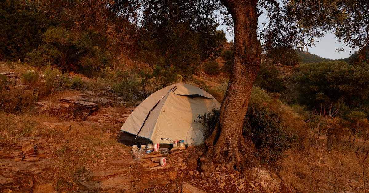 Outdoor camping scene featuring a pitched tent under a large tree in a natural forest setting.