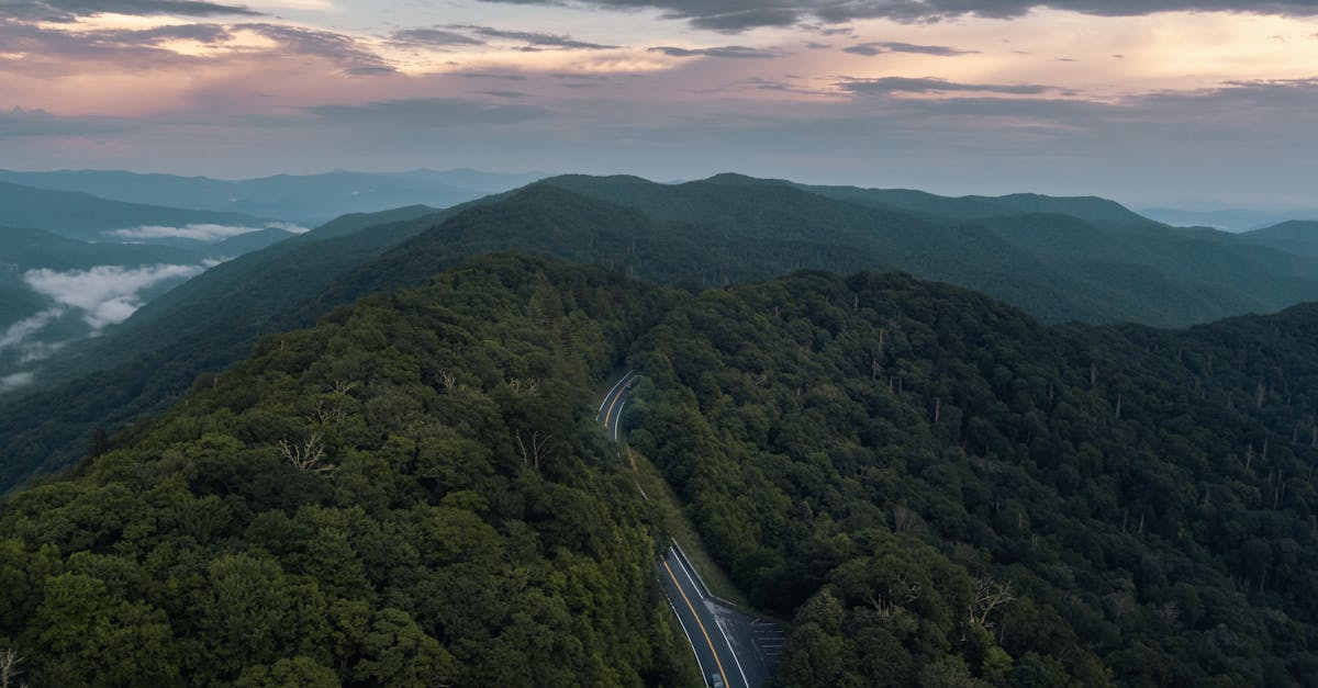 third_section_image_data.image_alt