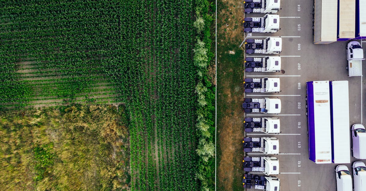 third_section_image_data.image_alt