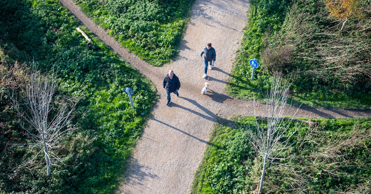 Aerial photo of two people walking with a dog on a scenic nature trail.