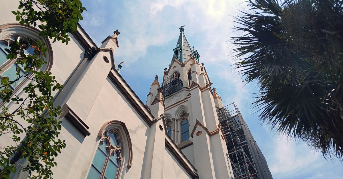 A stunning view of a Gothic Revival cathedral spire framed by trees under a bright, clear sky.