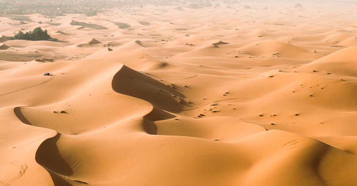 Vast golden sand dunes stretch endlessly under the bright sun in an expansive desert landscape.