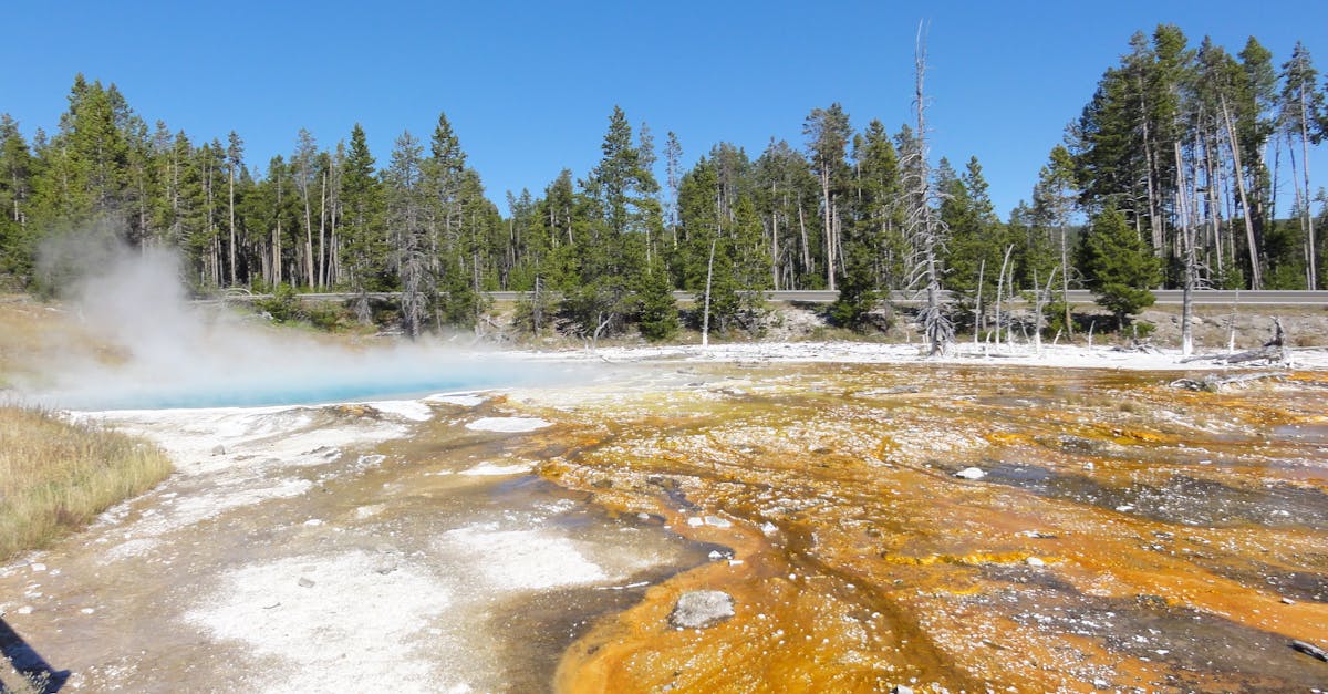 Colorful geothermal spring with steam in Yellowstone National Park under a clear blue sky.