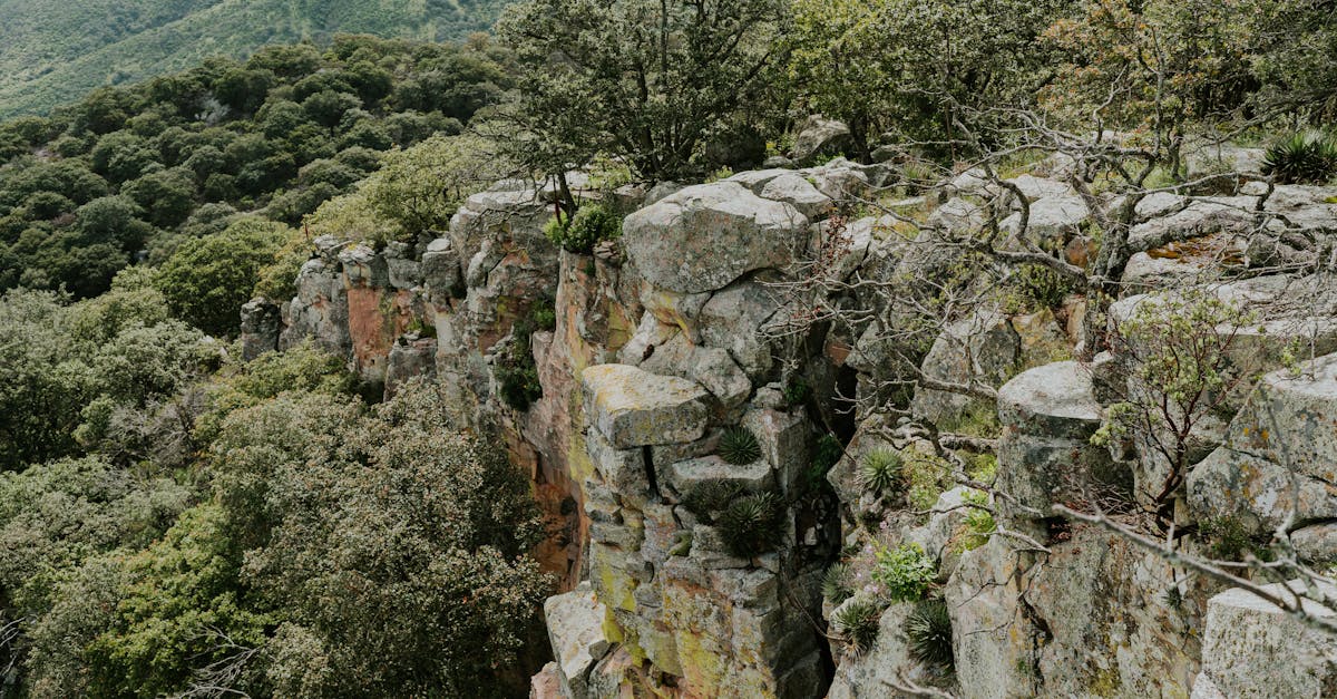 A breathtaking view of a rugged mountain cliff surrounded by dense green forest, perfect for nature lovers and adventurers.