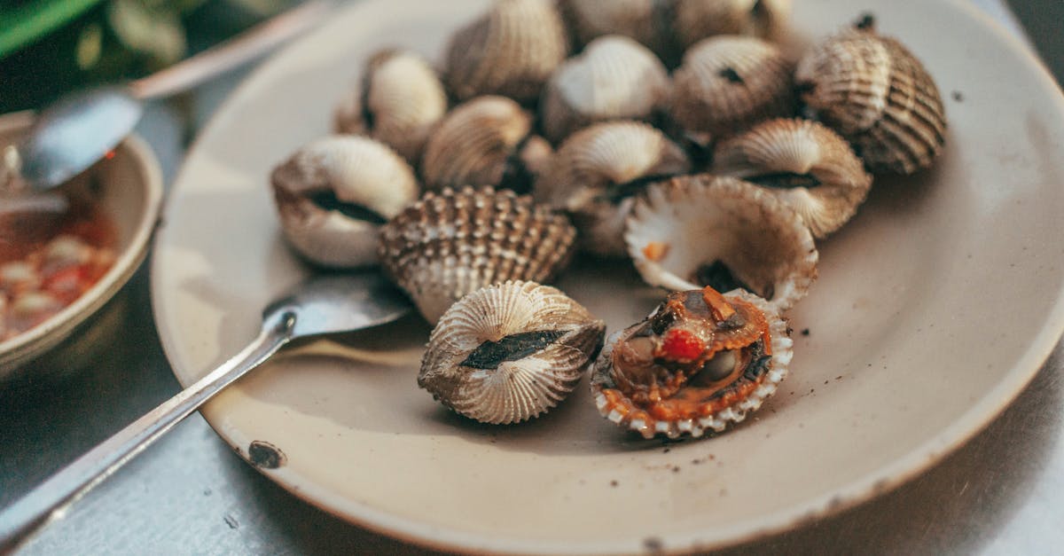 A delicious plate of cooked cockles served with sauce on the side, perfect for seafood lovers.