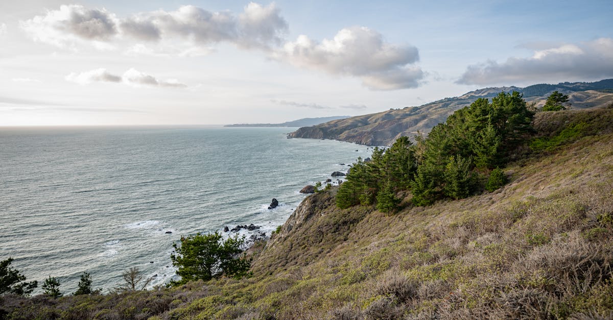 Breathtaking coastal view of Muir Beach, California with cliffs, ocean, and lush greenery.