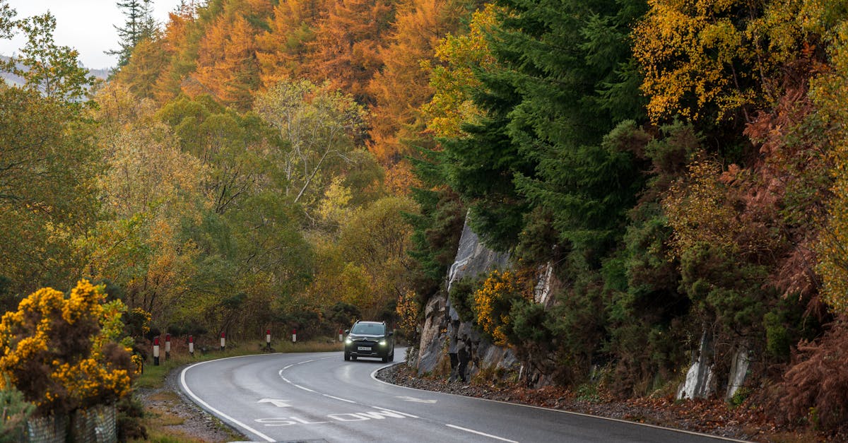 A car drives on a winding road surrounded by vibrant autumn foliage and evergreen trees.