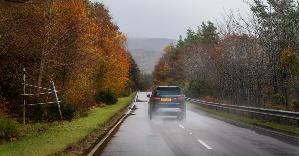 Car driving down a wet road surrounded by colorful autumn trees under a cloudy sky