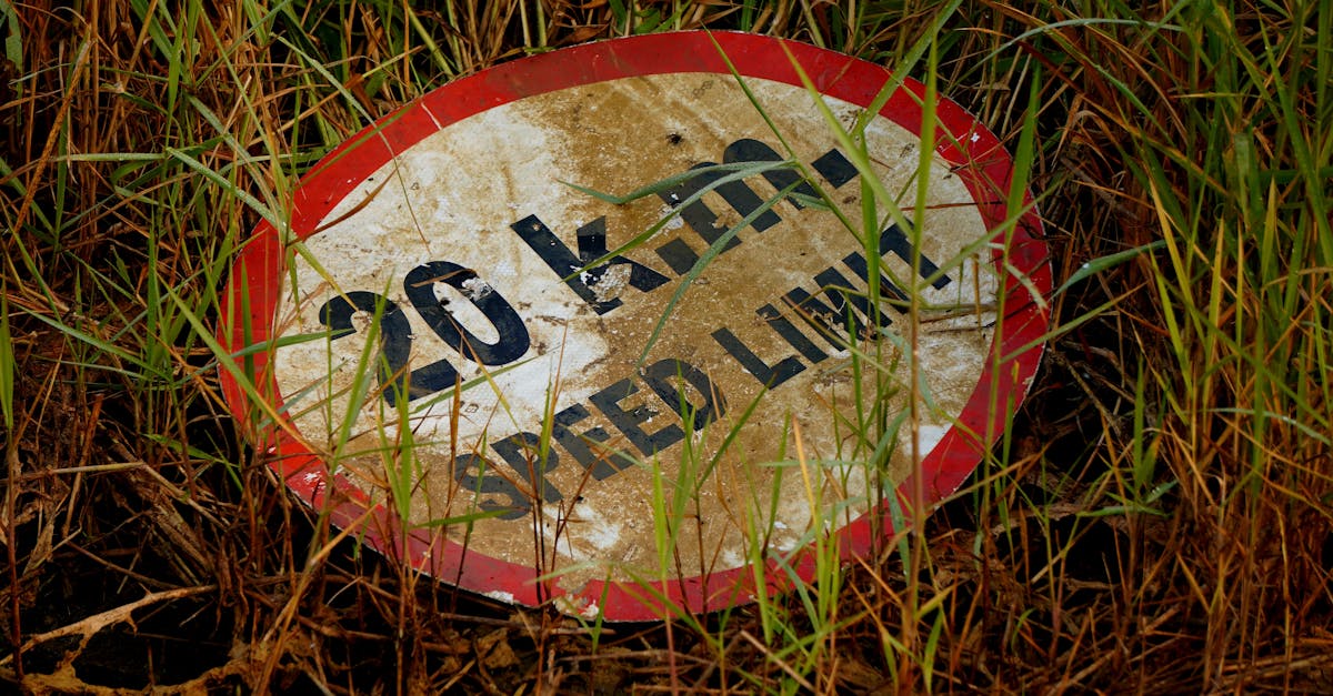 Abandoned 20 km/hr speed limit sign overtaken by nature in Patna, India.