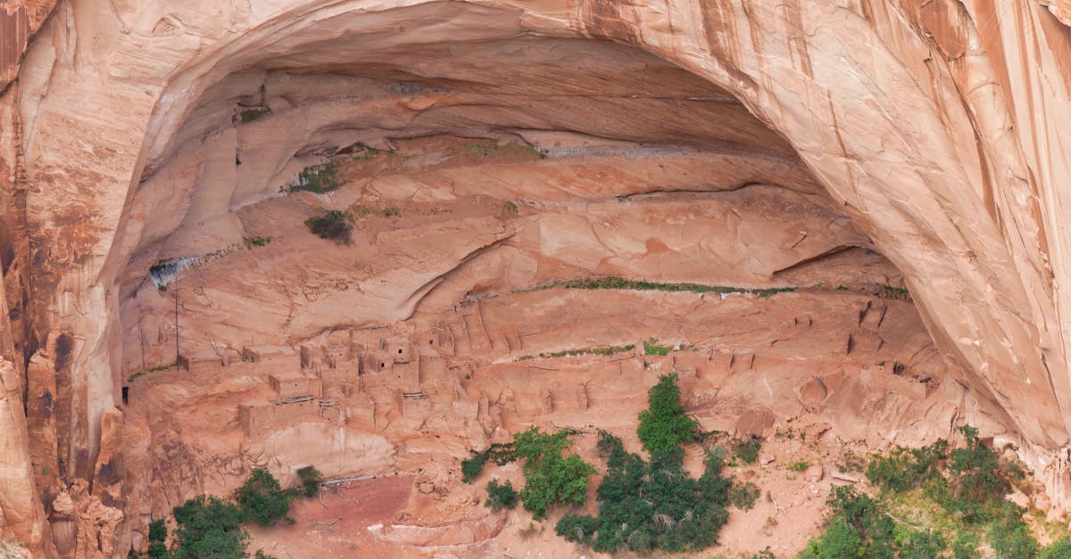 Explore ancient cliff dwellings nestled in the serene desert canyon landscape. Perfect for travel and history themes.