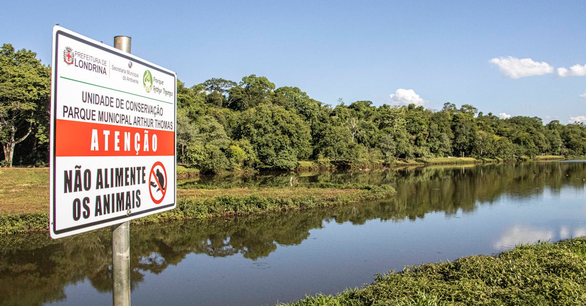 A tranquil view of Parque Municipal Arthur Thomas in Londrina with a caution sign by the waterside.