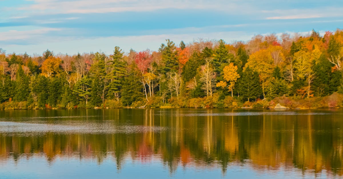 Serene autumn landscape in Vermont with colorful foliage reflected in a calm lake under a blue sky.