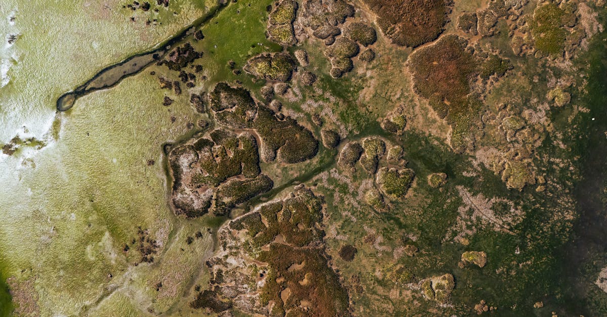third_section_image_data.image_alt