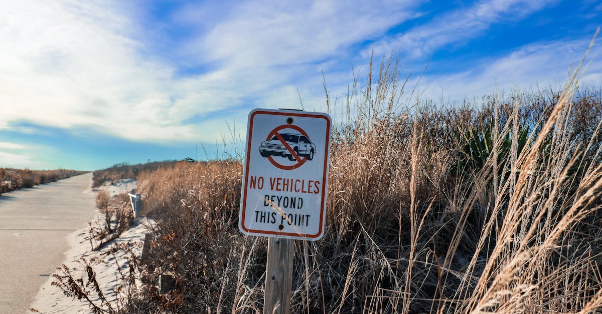 A serene coastal path with a 'No Vehicles' sign amidst tall grasses under a blue sky.
