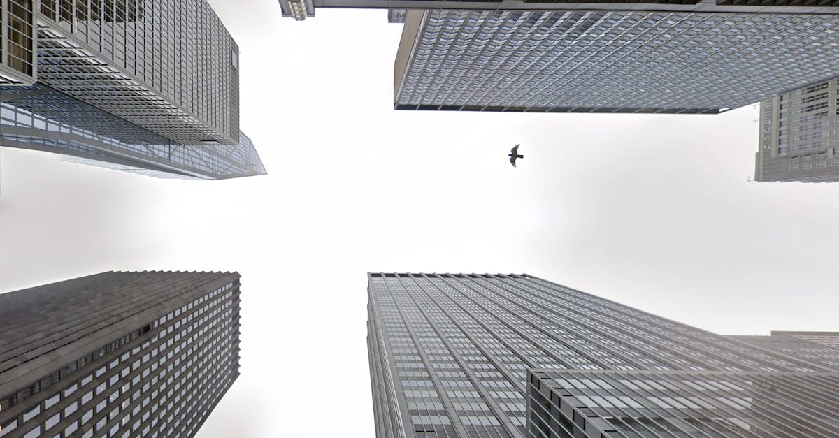 Aerial view of towering skyscrapers with a lone bird flying above, creating a dramatic urban scene.