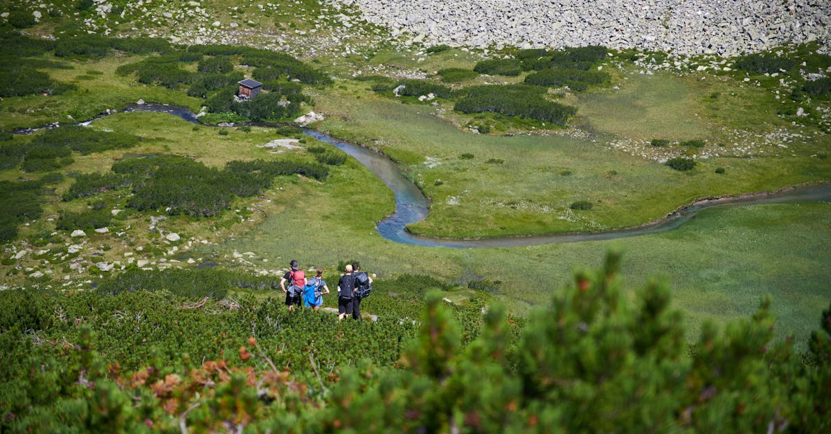 Group of hikers enjoying a scenic alpine meadow view in Mittersill, Salzburg, Austria with a winding stream.