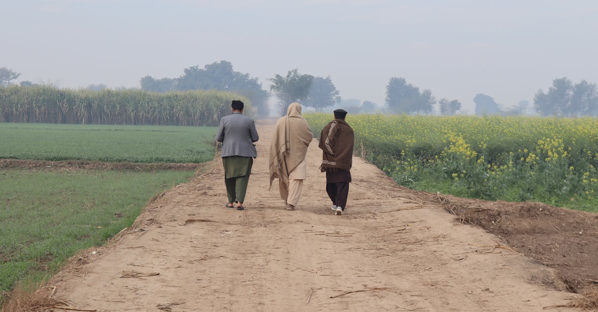 Three individuals walking on a dirt path through lush agricultural fields under a clear sky.