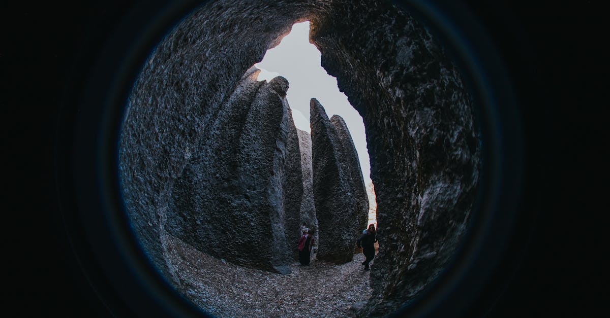 third_section_image_data.image_alt