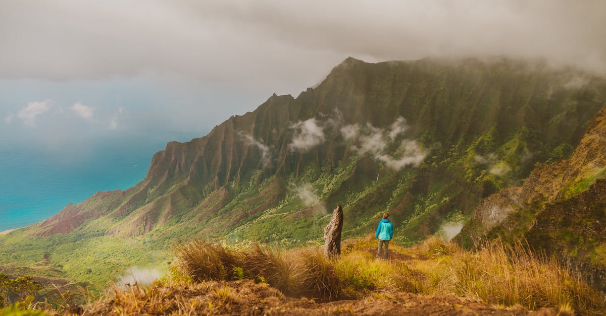Stunning landscape of Napali coast with a hiker enjoying the breathtaking view.