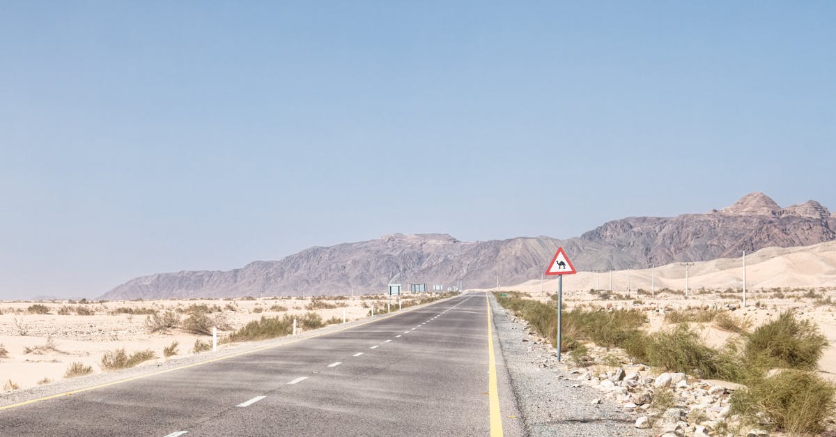 Empty desert road with camel crossing sign in Aqaba, Jordan under clear sky.