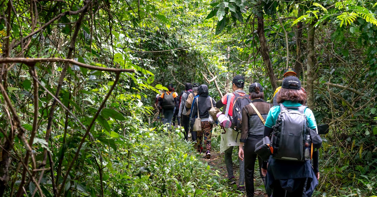 Back view of unrecognizable backpackers strolling on pathway between lush greenery in tropical woods